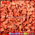 Como Tomar Goji Beere Wo kann ich frische Goji Beeren rohe Bio Goji Beeren kaufen